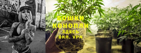 apvp Кинешма