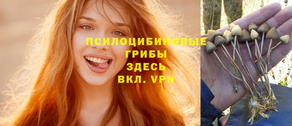 apvp Кинешма