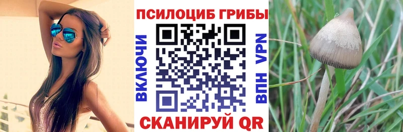 Галлюциногенные грибы прущие грибы  Купить где  Бугуруслан 